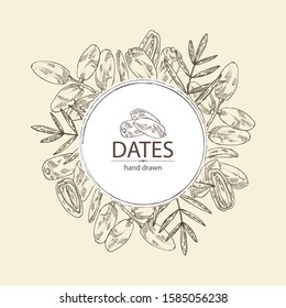 Background with date fruit: branch, date fruits and leaves. Vector hand drawn illustration.