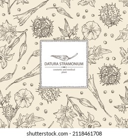 Background with datura stramonium: leaves, datura stramonium flowers and plant. Datura common. Cosmetic, perfumery and medical plant. Vector hand drawn illustration.