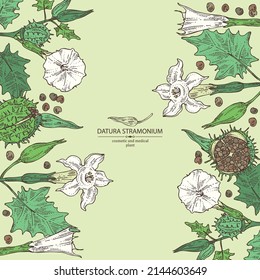 Background with datura stramonium: leaves, datura stramonium flowers and plant. Datura common. Cosmetic, perfumery and medical plant. Vector hand drawn illustration.