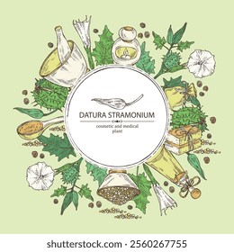 Background with datura stramonium: leaves, datura stramonium flowers and plant. Datura common. Oil, soap and bath salt . Cosmetics and medical plant. Vector hand drawn illustration