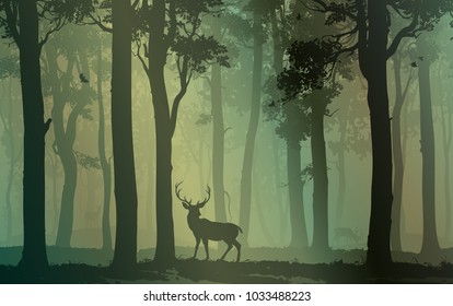 Background with deciduous forest, birds and deer. Vector illustration