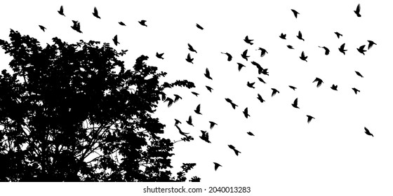 Background with deciduous tree. Flying birds. Autumn. Birds fly south. Vector illustration