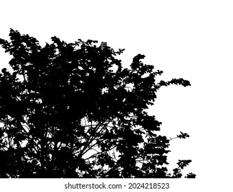 Background with deciduous tree. Vector illustration