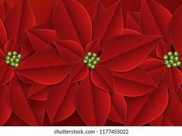 Background decorated with beautiful red buds poinsettia flowers.