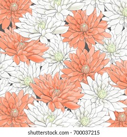 Background of delicate chrysanthemums white and orange