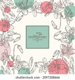 Background with dendrobium nobile: leaves, dendrobium nobile flowers and orchid plant. Cosmetic, perfumery and medical plant. Vector hand drawn illustration.