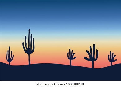 The background of the desert and cactus in the evening atmosphere