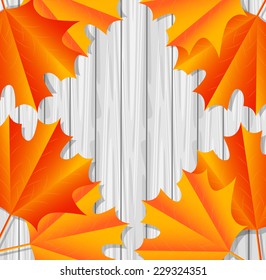 background for a design with the autumn leaves of maple,vector illustration