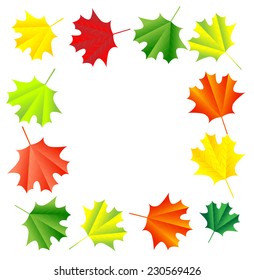 background for a design with the autumn leaves of maple,vector illustration
