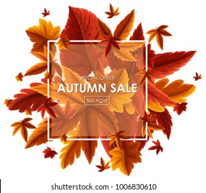 Background design for Autumn sale illustration