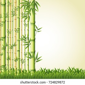 Diseño de fondo con ilustración forestal de bambú