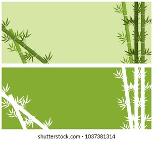 Background design with bamboo trees illustration
