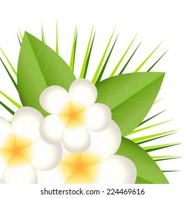 background for a design with beautiful flowers, vector illustration