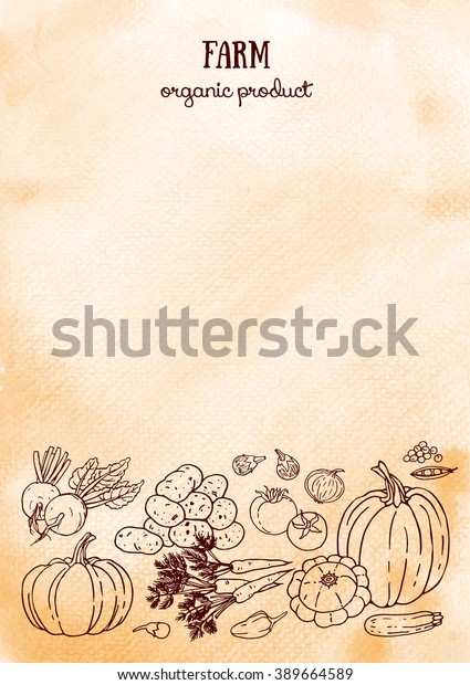 Background Design Farm Vegetables Watercolor Sketch Stock