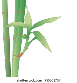 Background design with green bamboo stems