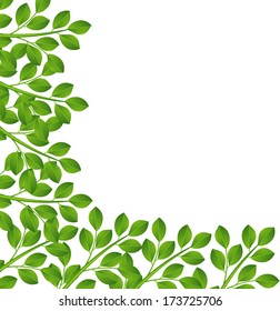 background for a design with green branches,  vector  illustration