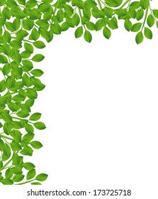 background for a design with green branches,  vector  illustration
