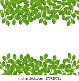background for a design with green branches,  vector  illustration