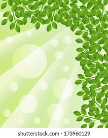 background for a design with green branches,  vector  illustration