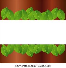 background for a design with green leaves,  vector  illustration