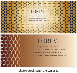 Background design with hexagonal texture. Banner design.