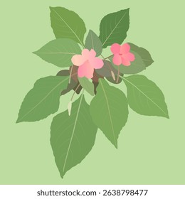 The background design is inspired by pink flowering grass plants.