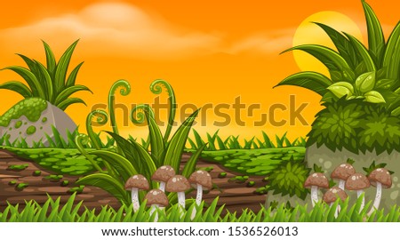 stone mushroom Environment