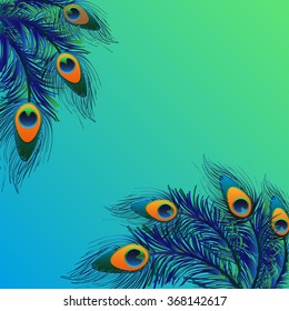 Background design with peacock feathers