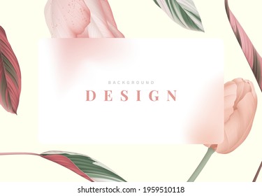 Background design, pink tulips with Ctenanthe oppenheimiana