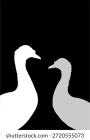 Diseño de fondo con un tema de aves de corral en forma de un pato moscovita con colores blancos, grises y negros