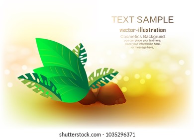 Background for design product cosmetics - Nature Leaves green - Vector illustration