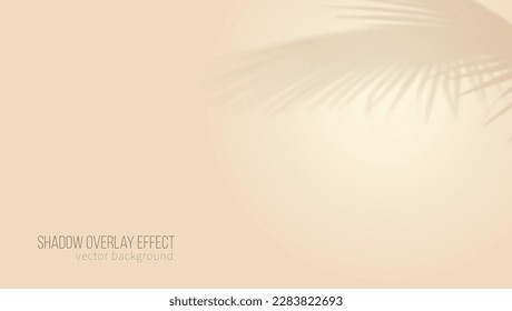 Hintergrunddesign für die Produktpräsentation. Beige Farbe. Schatten von Palmenblättern. Vorlage für Präsentation oder Poster.