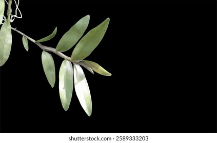 background design with supporting objects in the form of green orchid leaf vector images and empty space as space for text