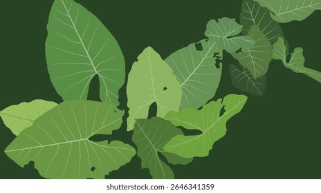 Background design with a theme of caladium leaves arranged naturally in the garden.