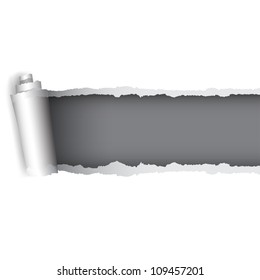 Background for the design of the torn paper