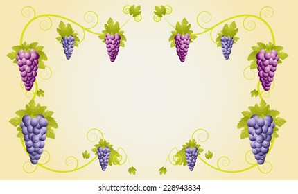background for a design with vine racemes ,vector illustration