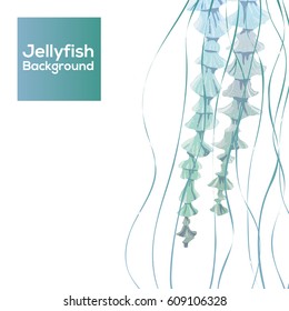 Background with detailed transparent jellyfish. Sea jelly on blue background. Useful for banners, broshures, covers. Vector illustration