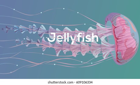 Background with detailed transparent jellyfish. Sea jelly on blue background. Useful for banners, broshures, covers. Vector illustration