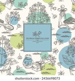 Background with dichroa febrifuga lour: dichroa plant, leaves and dichroa febrifuga flowers. Oil, soap and bath salt . Cosmetics and medical plant. Vector hand