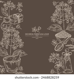Background with dichroa febrifuga lour: dichroa plant, leaves and dichroa febrifuga flowers. Oil, soap and bath salt . Cosmetics and medical plant. Vector hand