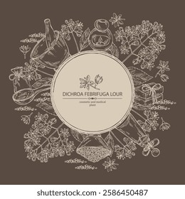 Background with dichroa febrifuga lour: dichroa plant, leaves and dichroa febrifuga flowers. Oil, soap and bath salt . Cosmetics and medical plant. Vector hand