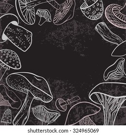 Background with different hand drawn mushrooms on chalkboard. Can be used as restaurant menu design.