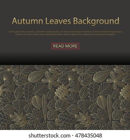 Background with different tree leaves such as oak and maple, chestnut and birch, aspen and linden, poplar and ginkgo, tulip tree and sassafras, beech, hornbeam, holly. Autumn collection.