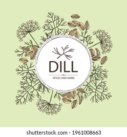 Background with dill: dill leaves and seeds. Herbs and spices. Vector hand drawn illustration.