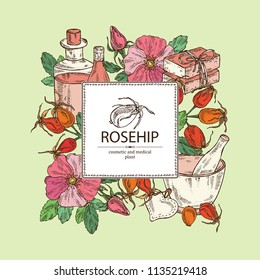 Background with dog rose: branch of rose hip, dog rose berries, rosehip flowers and leaves. Dog rose. Oil, soap and bath salt . Cosmetics and medical plant. Vector hand drawn illustration