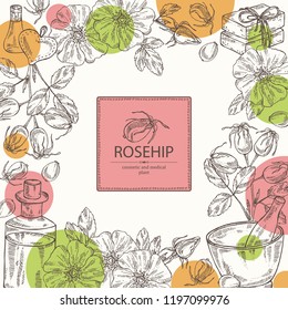 Background with dog rose: branch of rose hip, dog rose berries, rosehip flowers and leaves. Dog rose. Oil, soap and bath salt . Cosmetics and medical plant. Vector hand drawn illustration
