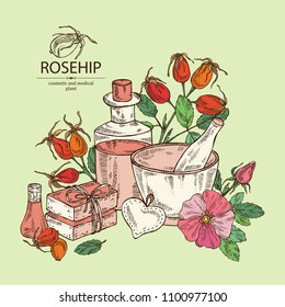 Background with dog rose: branch of sea rose hip, dog rose berries, rosehip flowers and leaves. Dog rose. Oil, soap and bath salt . Cosmetics and medical plant. Vector hand drawn illustration