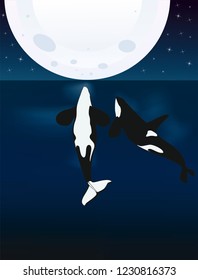 Background with dolphins, killer whale in sea 
