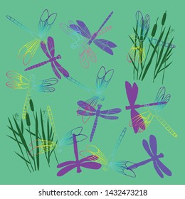  Background with Dragonflies.  Hand drawn sketches. Vector Illustration. 