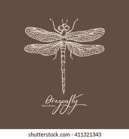 Background with dragonfly. hand drawn